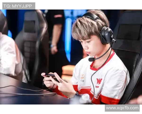 王者荣耀深度解析：WE战队默契配合与战术运用全景剖析